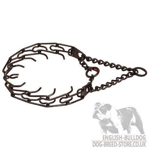 Pinch Collar for English Bulldog, Black Stainless Steel 1/6 Inch