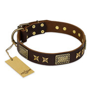 Leather Collar for English Bulldog "Sparkling Bronze" FDT Artisan