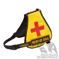 Service Dog Vest for English Bulldog of Nylon with Patches