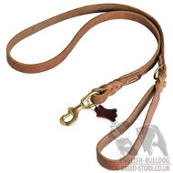 Training English Bulldog Walk Leash of Leather, Advanced